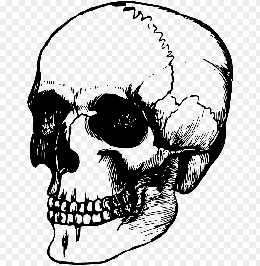 Detail Skull Face Transparent Nomer 12