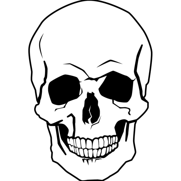 Detail Skull Face Transparent Nomer 13