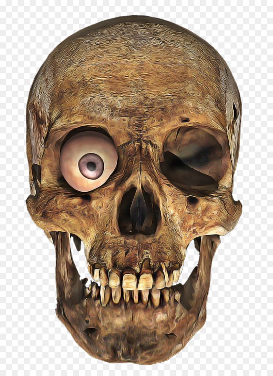 Detail Skull Face Transparent Nomer 15