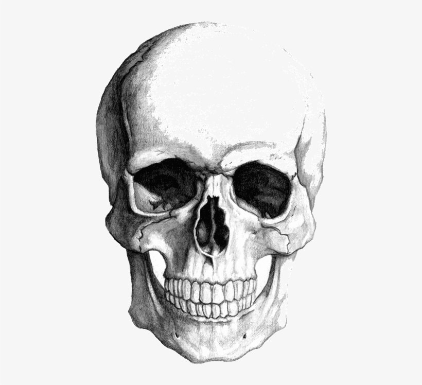Detail Skull Face Transparent Nomer 17