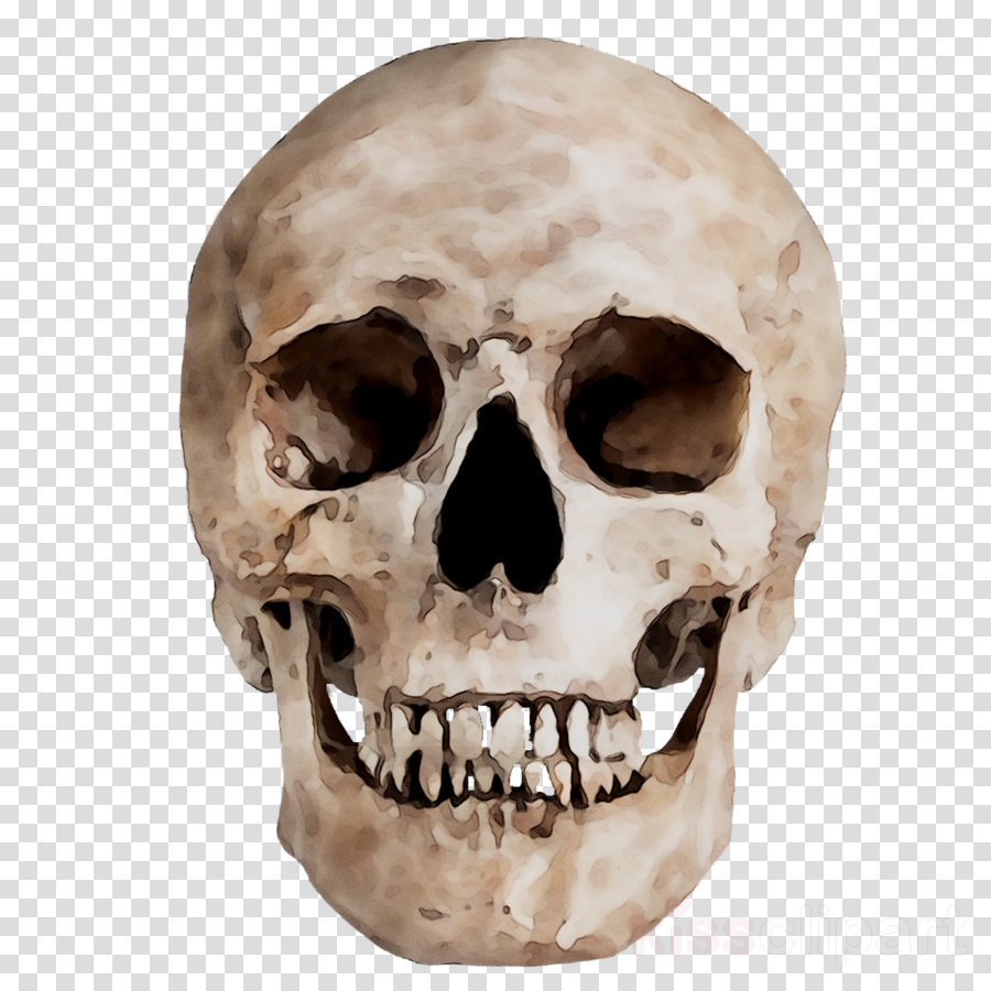 Detail Skull Face Transparent Nomer 18