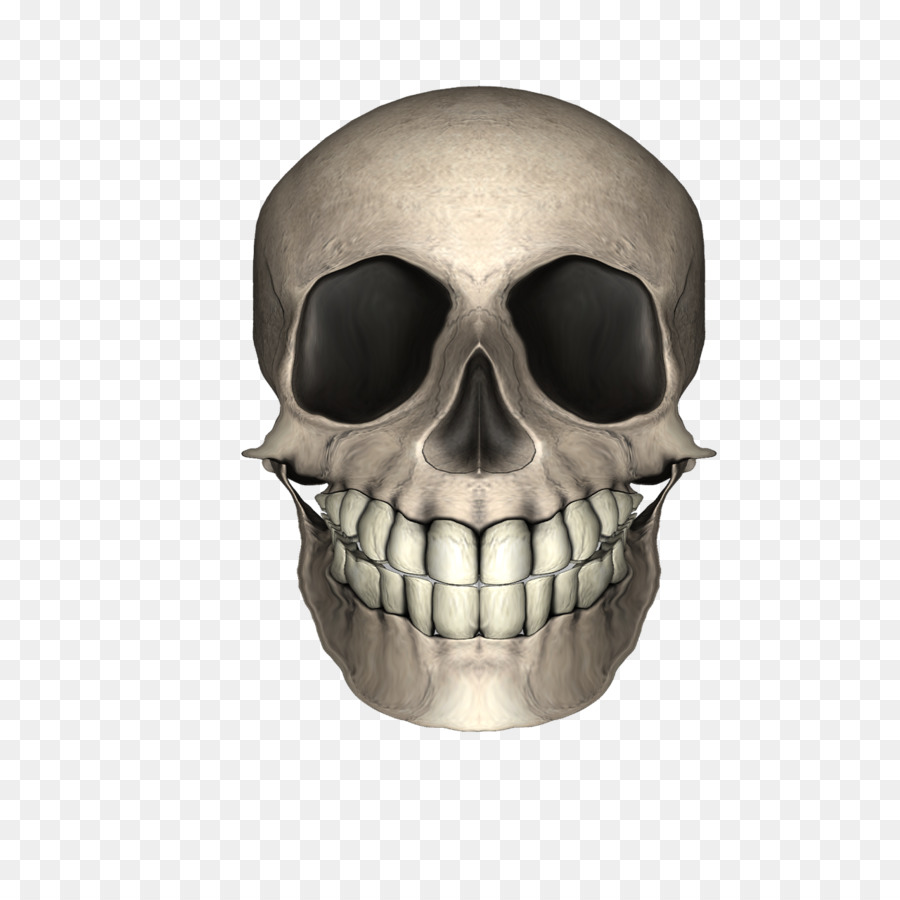 Detail Skull Face Transparent Nomer 19
