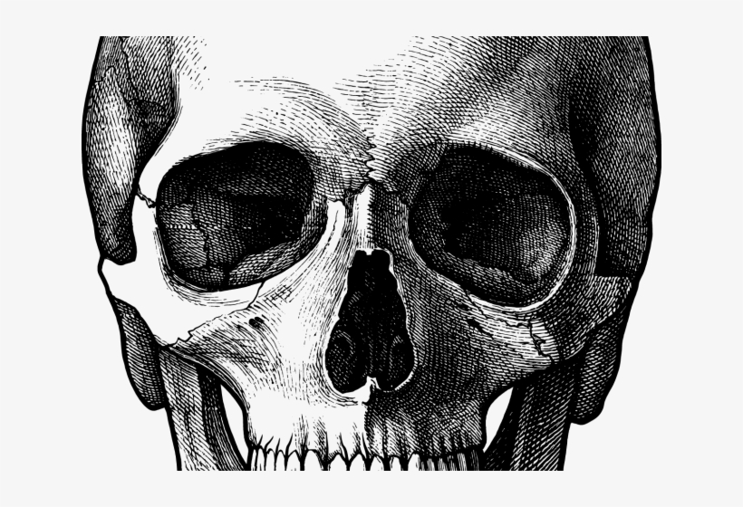 Detail Skull Face Transparent Nomer 21