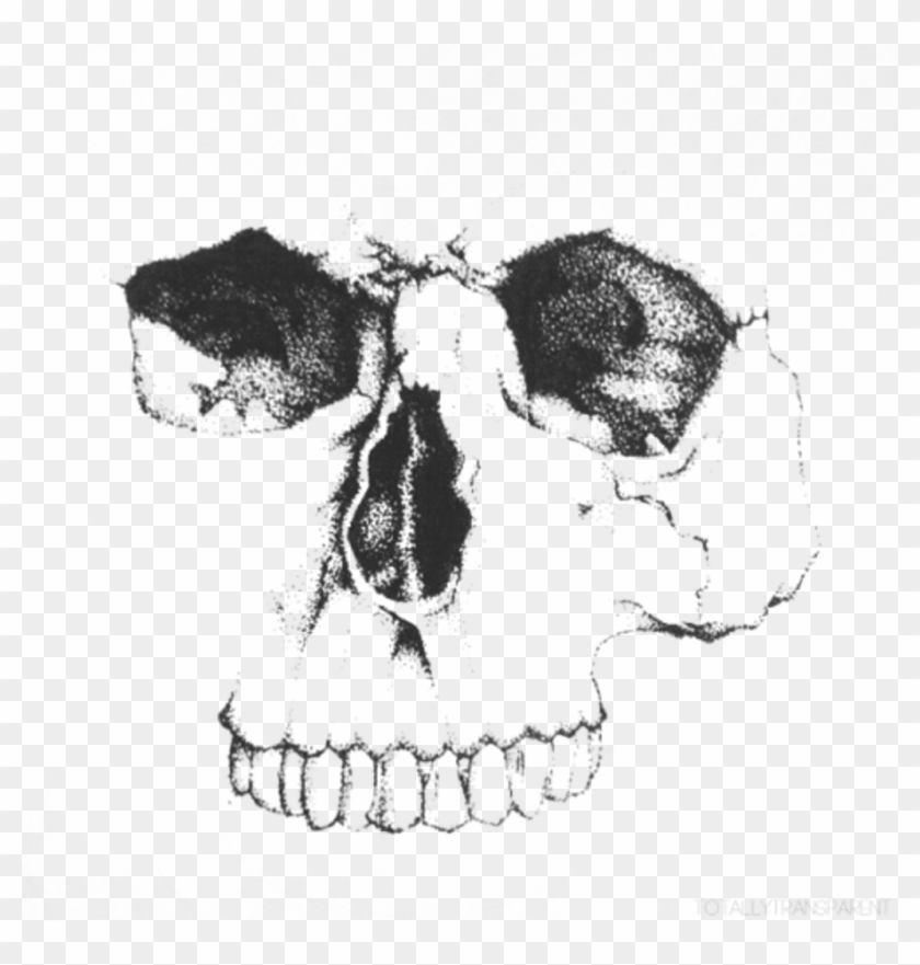 Detail Skull Face Transparent Nomer 27