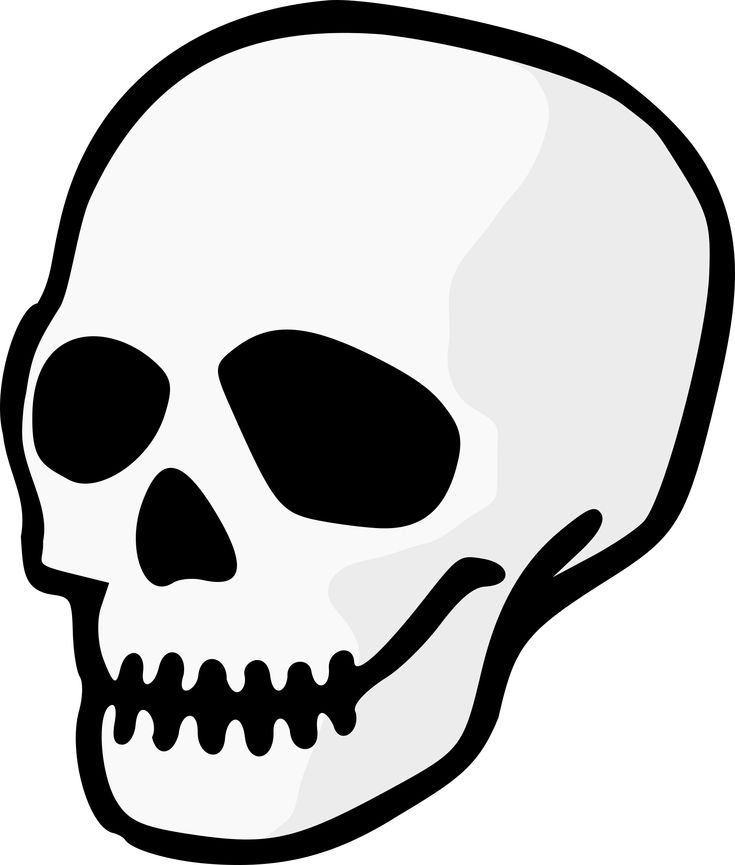 Detail Skull Face Transparent Nomer 28