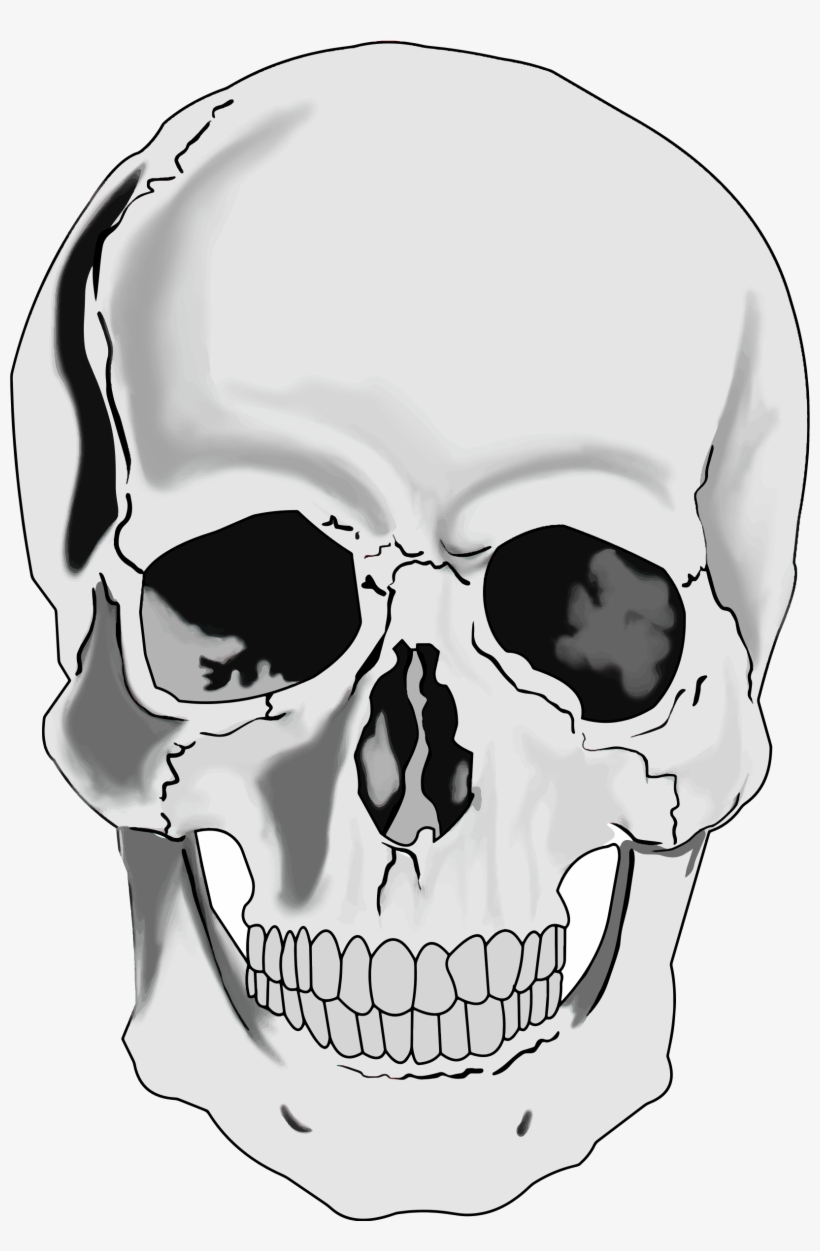 Detail Skull Face Transparent Nomer 4