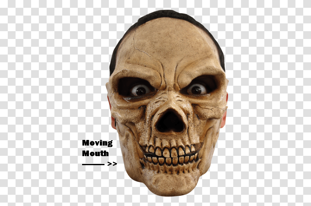 Detail Skull Face Transparent Nomer 35