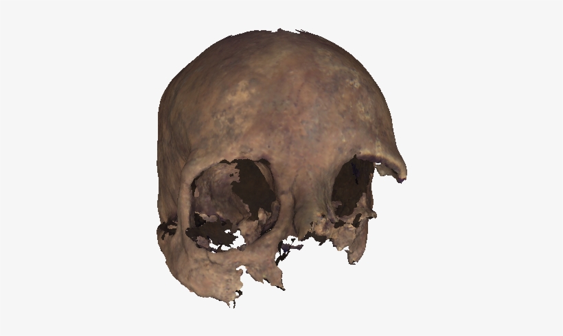 Detail Skull Face Transparent Nomer 37