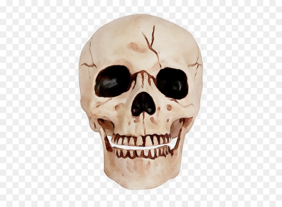 Detail Skull Face Transparent Nomer 49