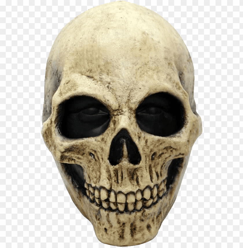 Detail Skull Face Transparent Nomer 53