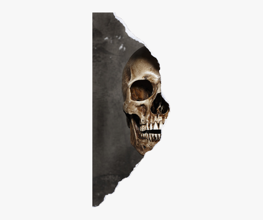 Detail Skull Face Transparent Nomer 54