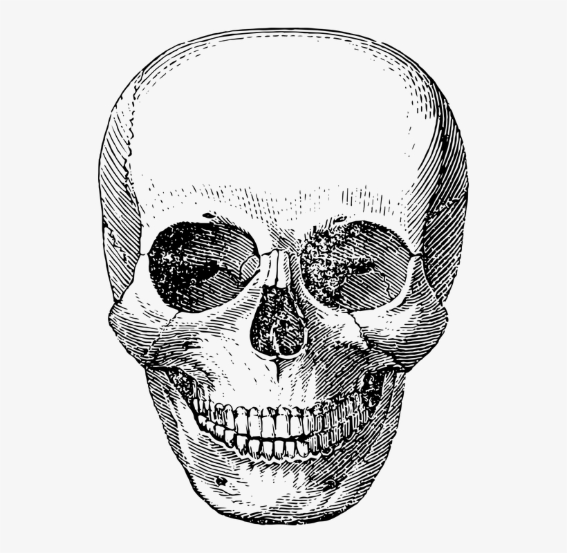 Detail Skull Face Transparent Nomer 7
