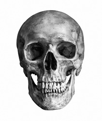 Skull Free Image - KibrisPDR