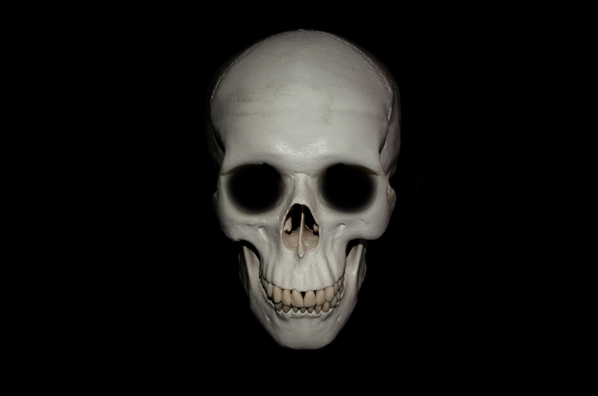 Detail Skull Hd Nomer 9