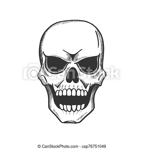 Detail Skull Head Images Nomer 34