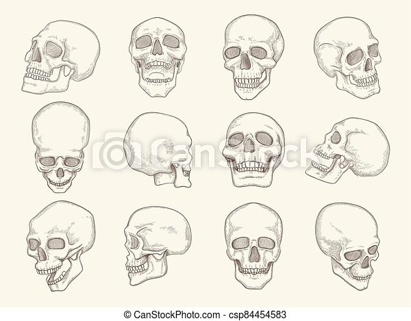 Detail Skull Head Images Nomer 44