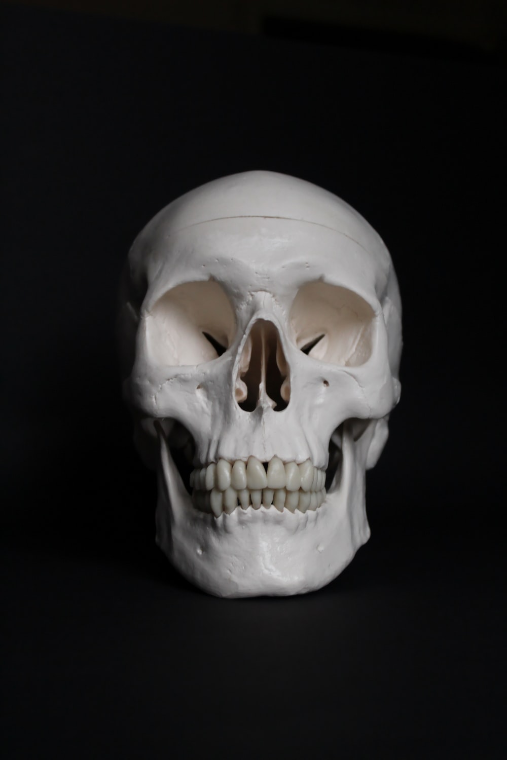 Skull Image Free Download - KibrisPDR