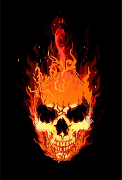 Detail Skull Image Free Download Nomer 8