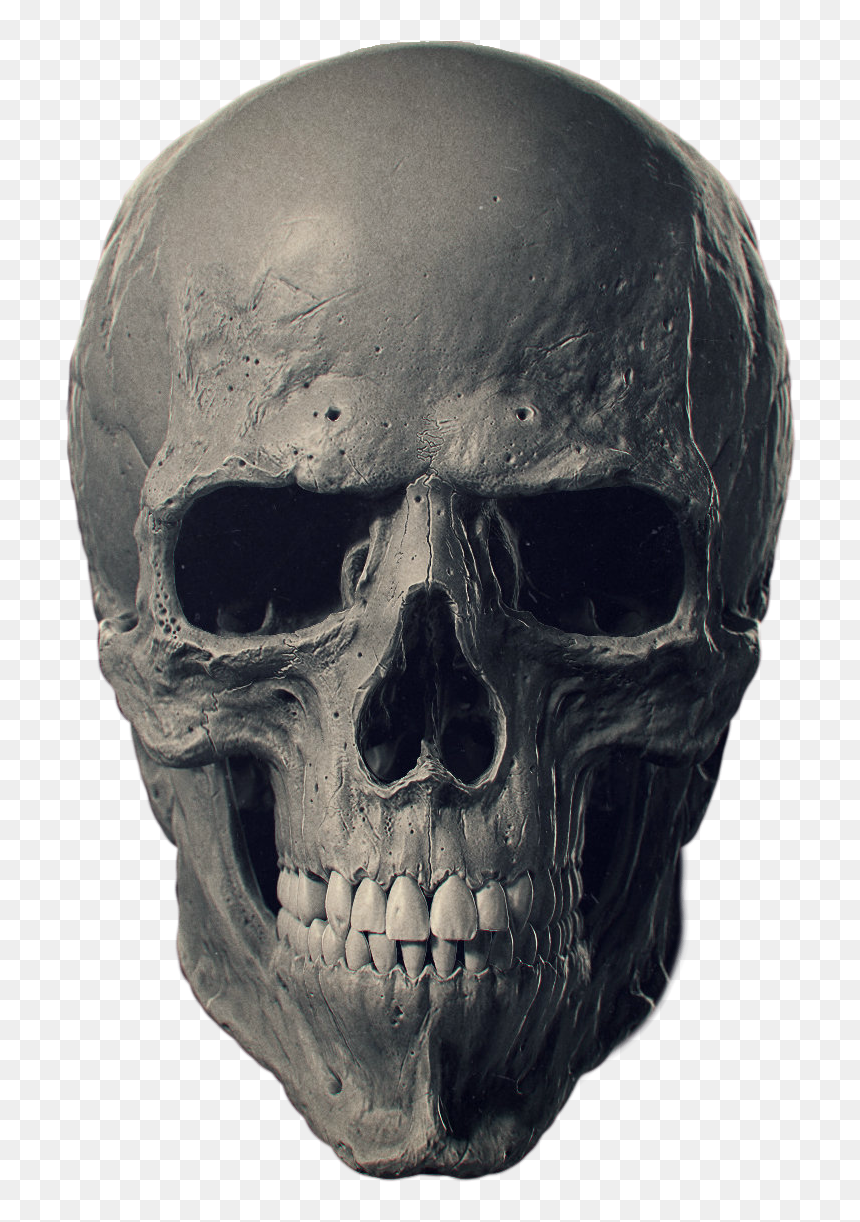 Detail Skull Image Free Download Nomer 12