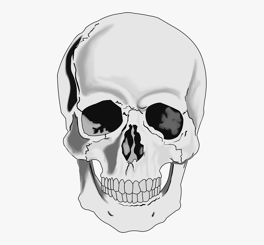 Detail Skull Image Free Download Nomer 3