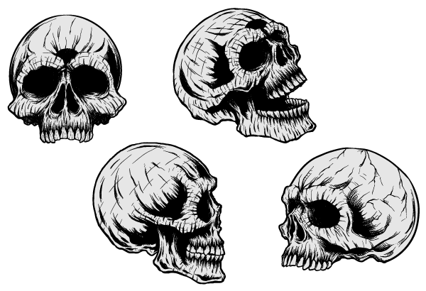 Detail Skull Image Free Download Nomer 42