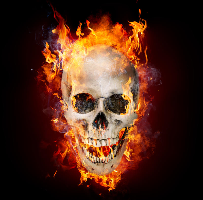 Skull Images Free Download - KibrisPDR