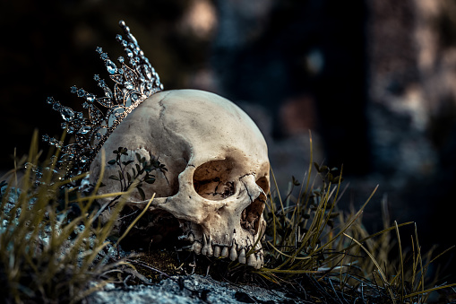 Detail Skull Images Free Download Nomer 12