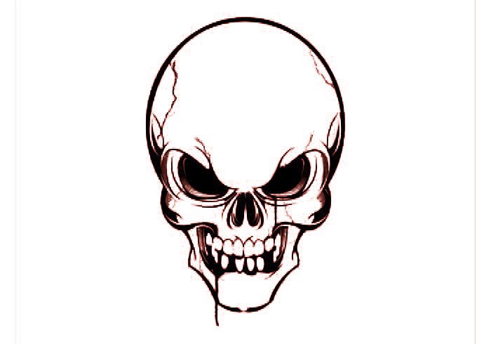 Detail Skull Images Free Download Nomer 16