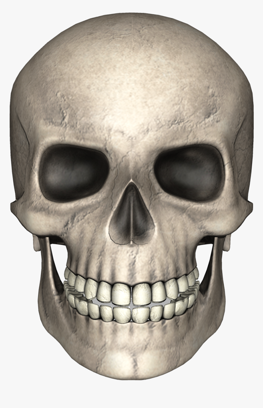 Download Skull Images Free Download Nomer 3