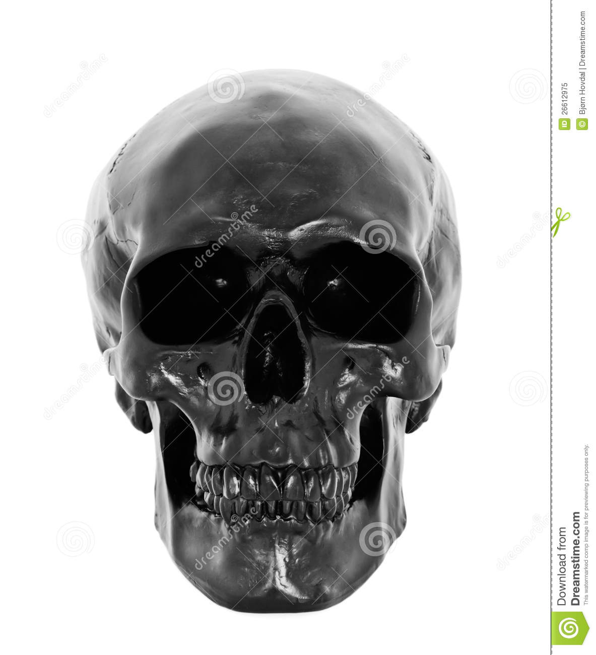 Detail Skull Images Free Download Nomer 30