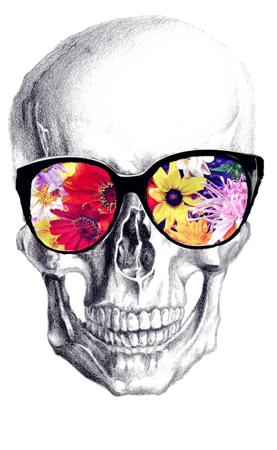 Detail Skull Images Free Download Nomer 33