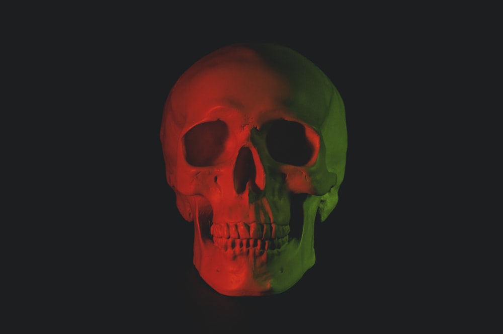 Detail Skull Images Free Download Nomer 6