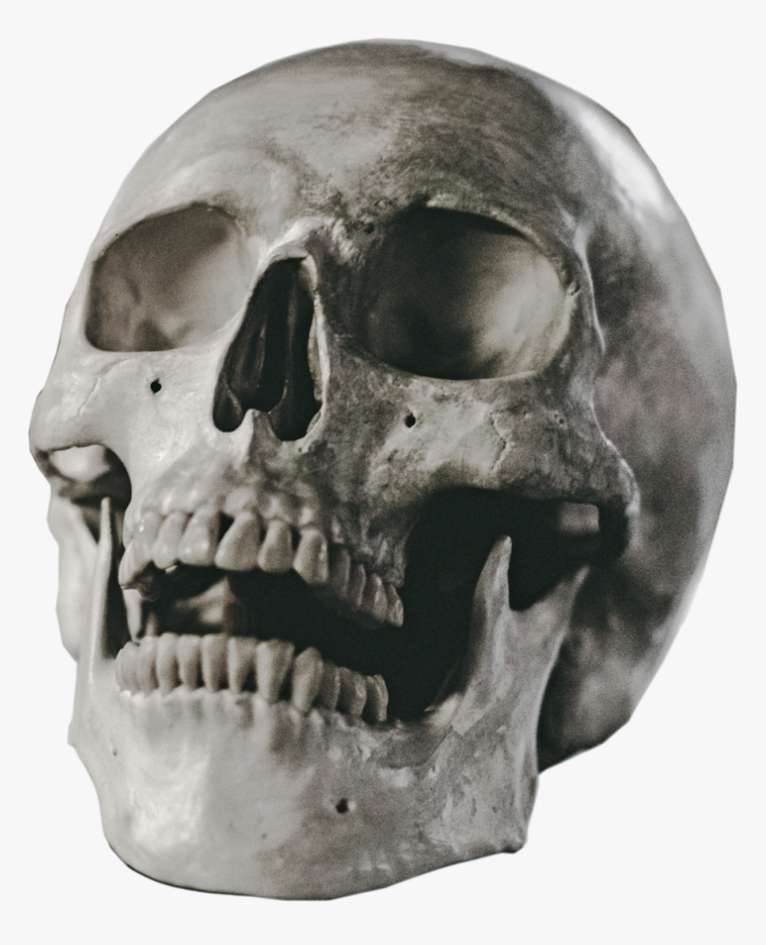 Detail Skull Ong Nomer 11