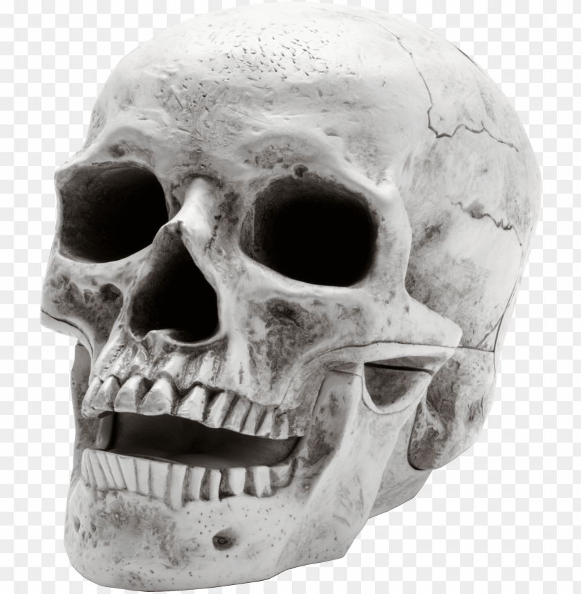 Detail Skull Ong Nomer 17