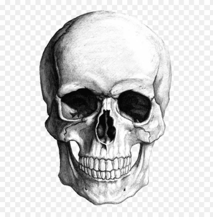 Detail Skull Ong Nomer 23