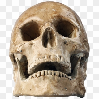Detail Skull Ong Nomer 24