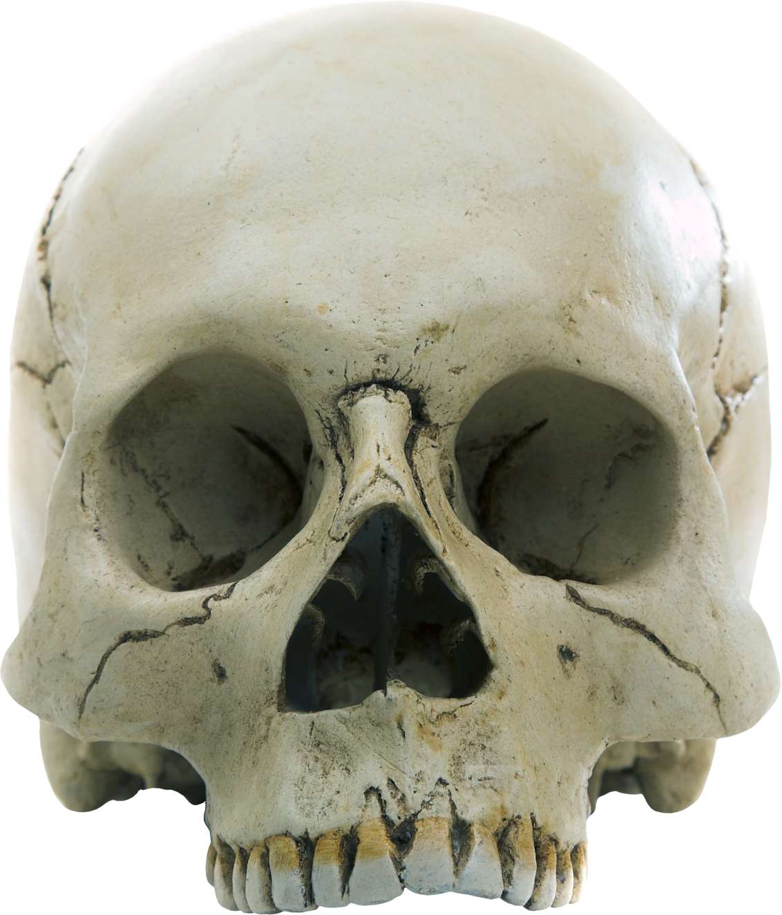 Detail Skull Ong Nomer 38