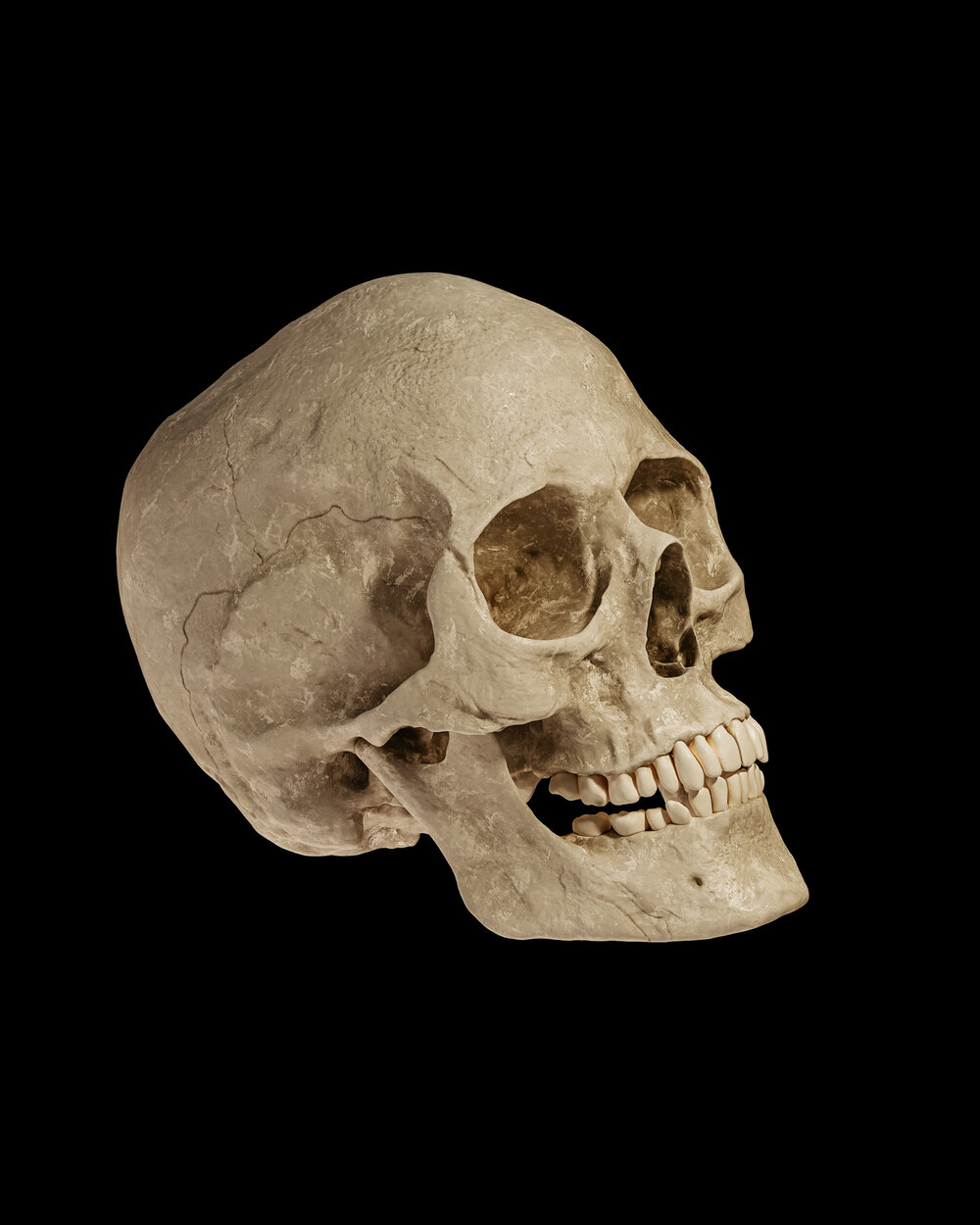 Detail Skull Ong Nomer 54