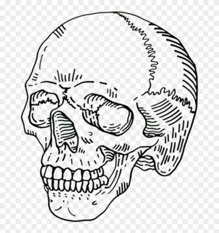 Detail Skull Ong Nomer 56