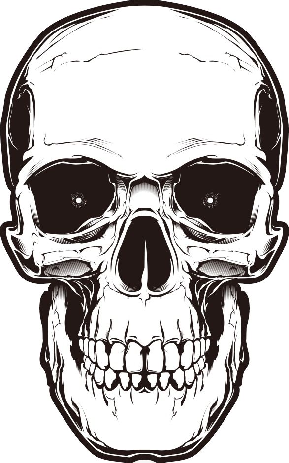 Detail Skull Outline Png Nomer 11