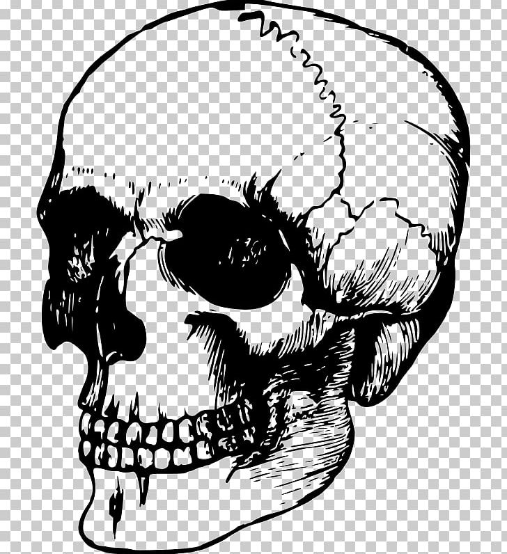 Detail Skull Outline Png Nomer 19