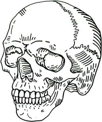 Detail Skull Outline Png Nomer 23