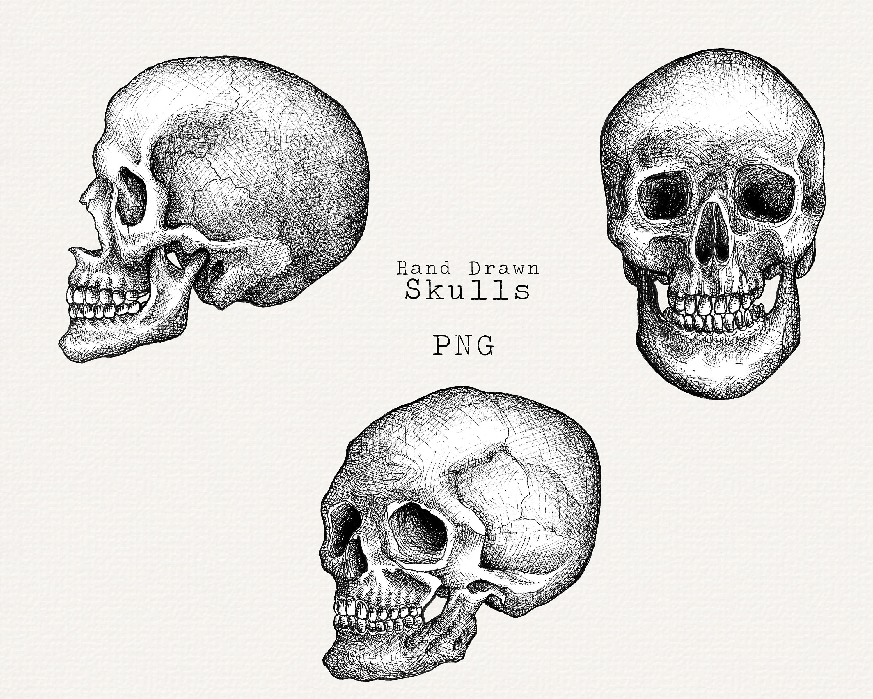 Detail Skull Outline Png Nomer 37