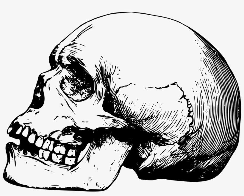 Detail Skull Outline Png Nomer 50