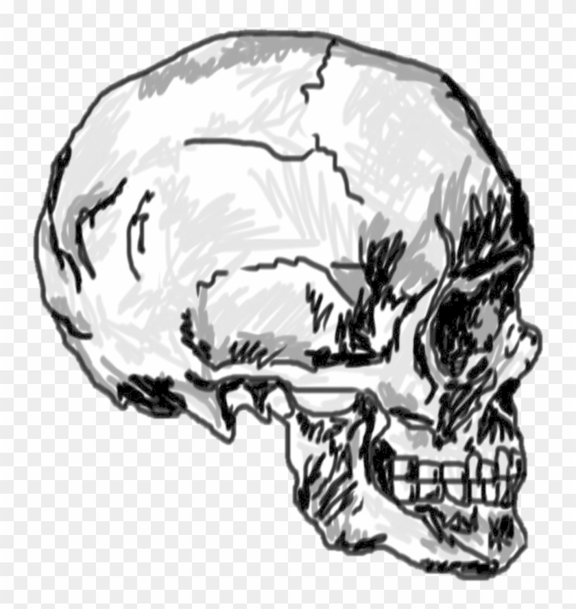 Detail Skull Outline Png Nomer 52