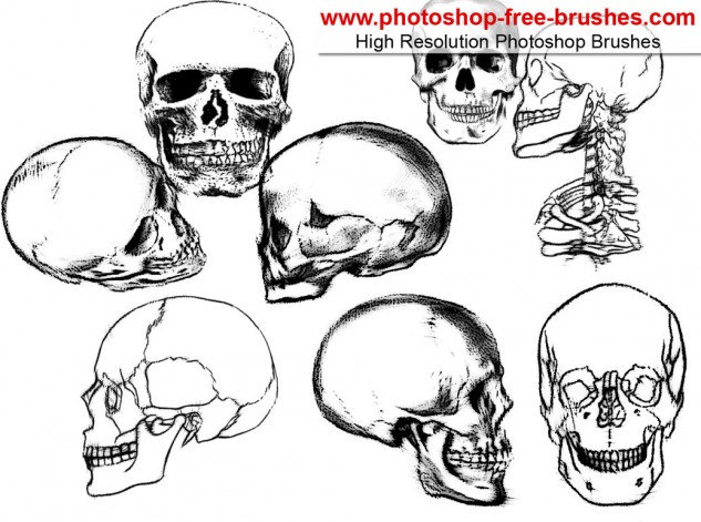 Detail Skull Photoshop Brushes Nomer 20