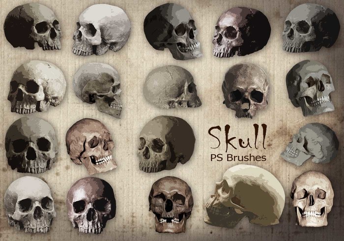 Detail Skull Photoshop Brushes Nomer 23