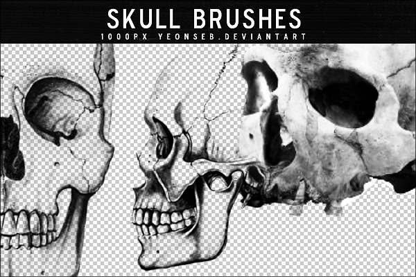 Detail Skull Photoshop Brushes Nomer 6