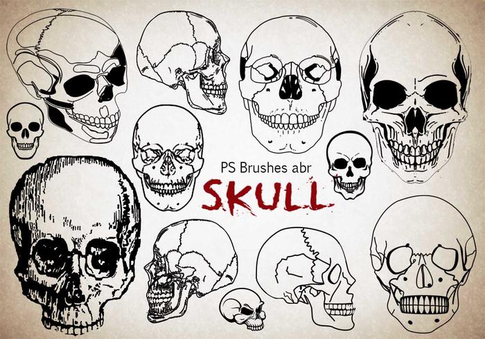 Detail Skull Photoshop Brushes Nomer 7