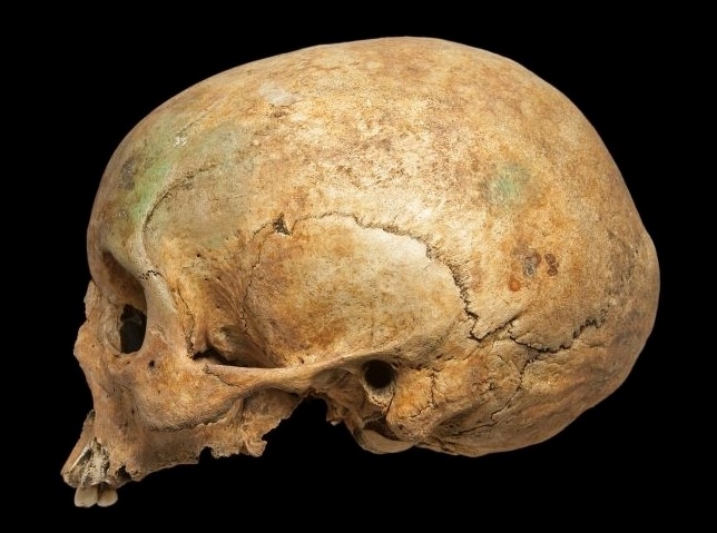 Detail Skull Picture Nomer 56